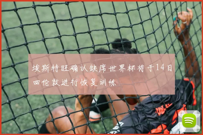 埃斯特旺确认缺席世界杯将于14日回伦敦进行恢复训练