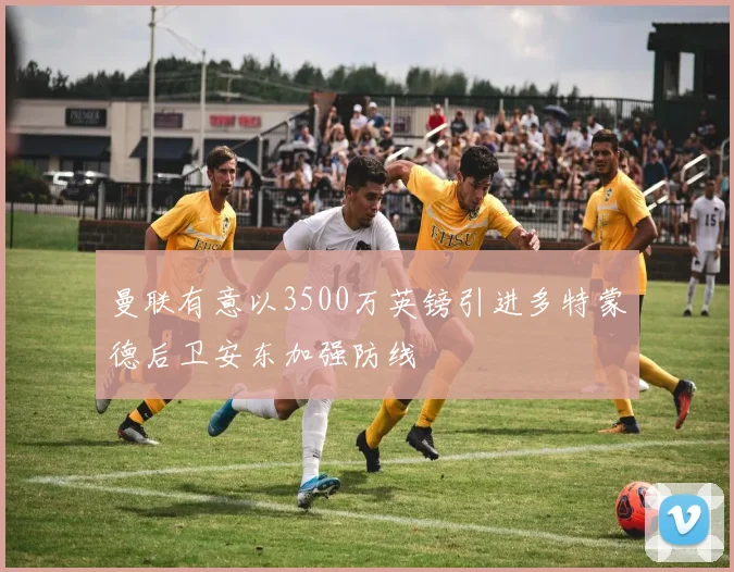 曼联有意以3500万英镑引进多特蒙德后卫安东加强防线
