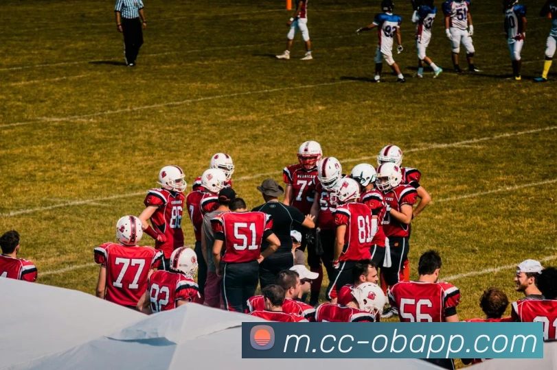 战术分析频道